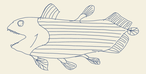 Coelacanth